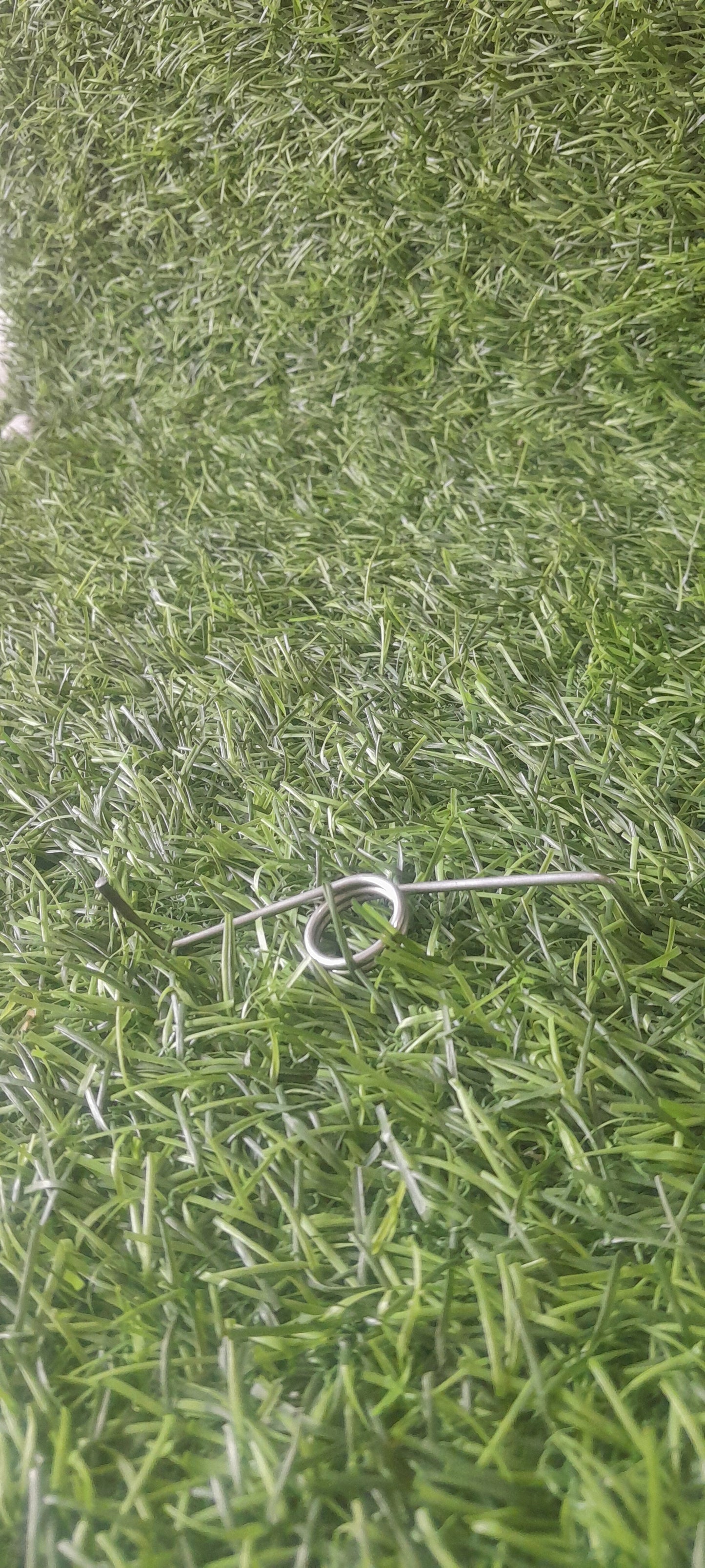 LID SPRING TYPE 2