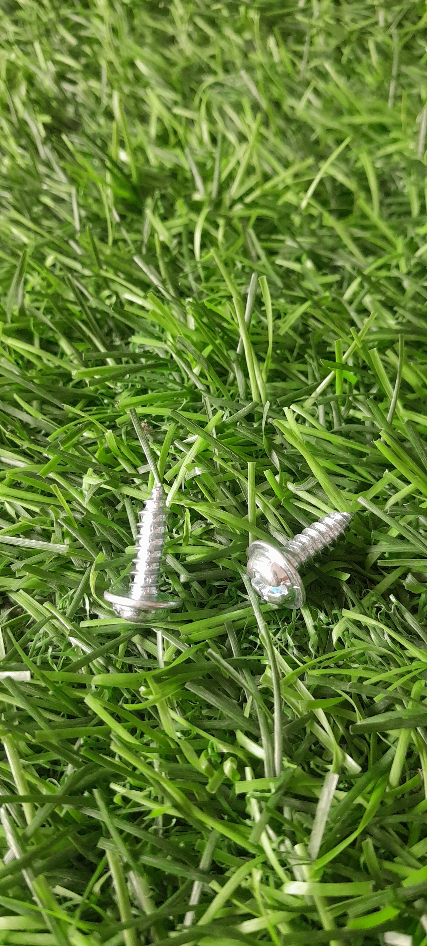 BODY SCREW