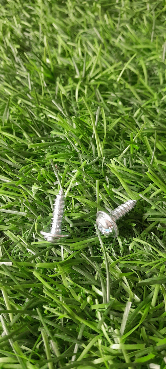 BODY SCREW