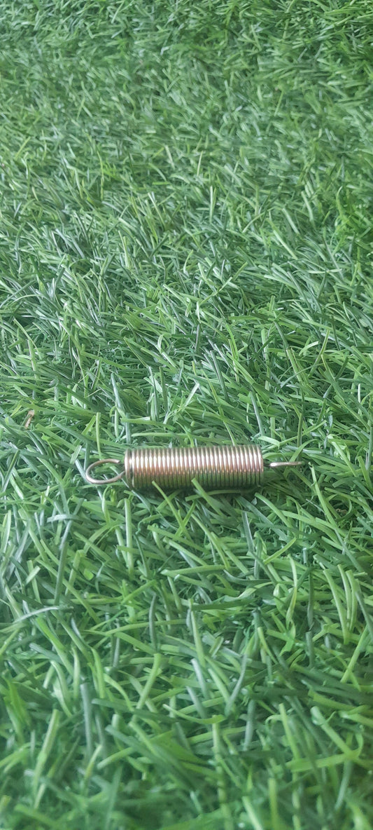 BRAKE PLATE SPRING TYPE 1