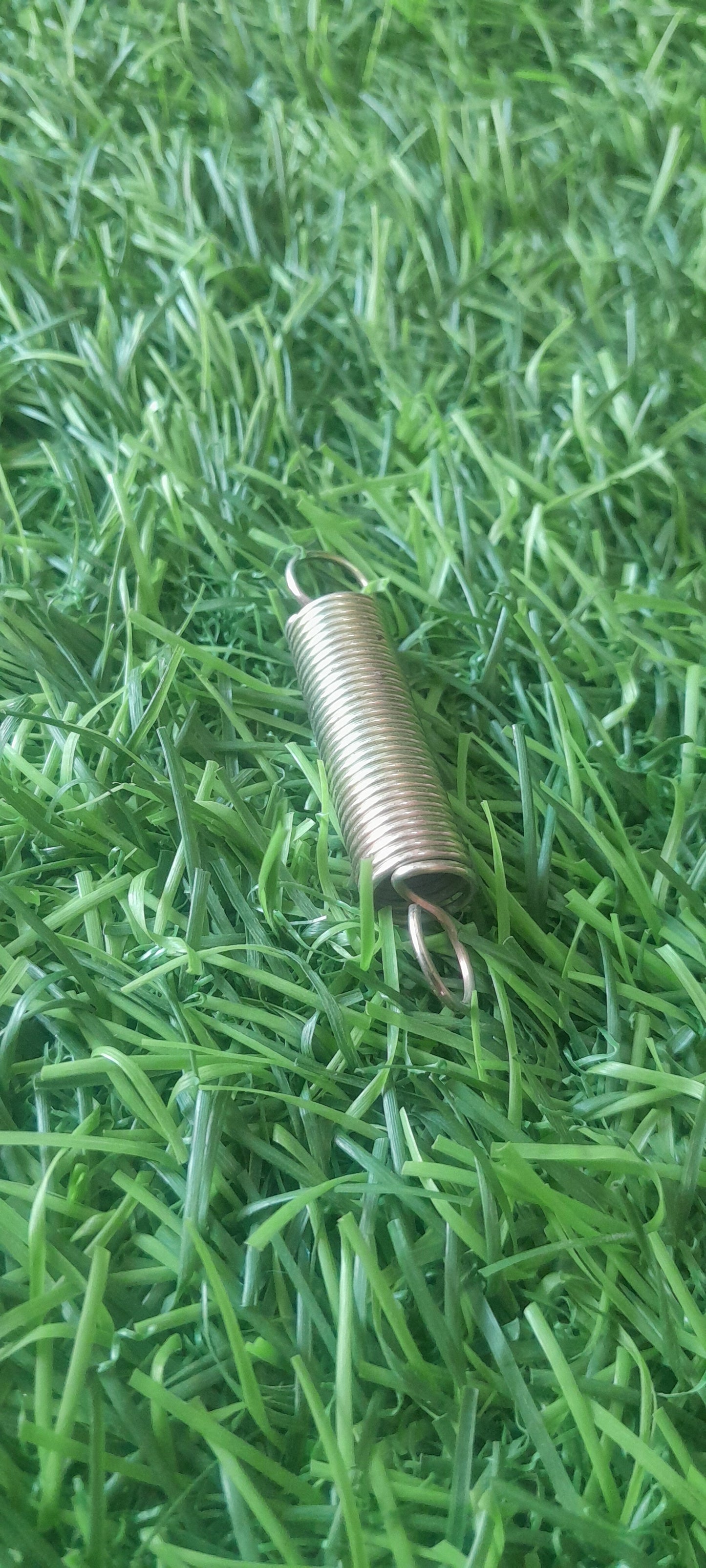 BRAKE PLATE SPRING TYPE 1