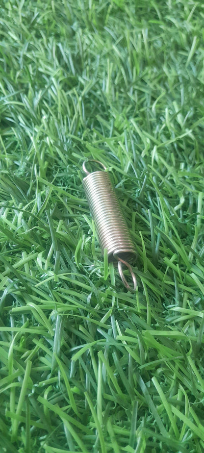 BRAKE PLATE SPRING TYPE 1