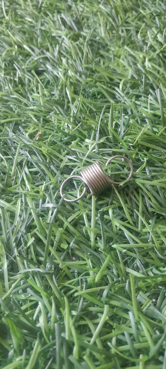 BRAKE PLATE SPRING TYPE 2