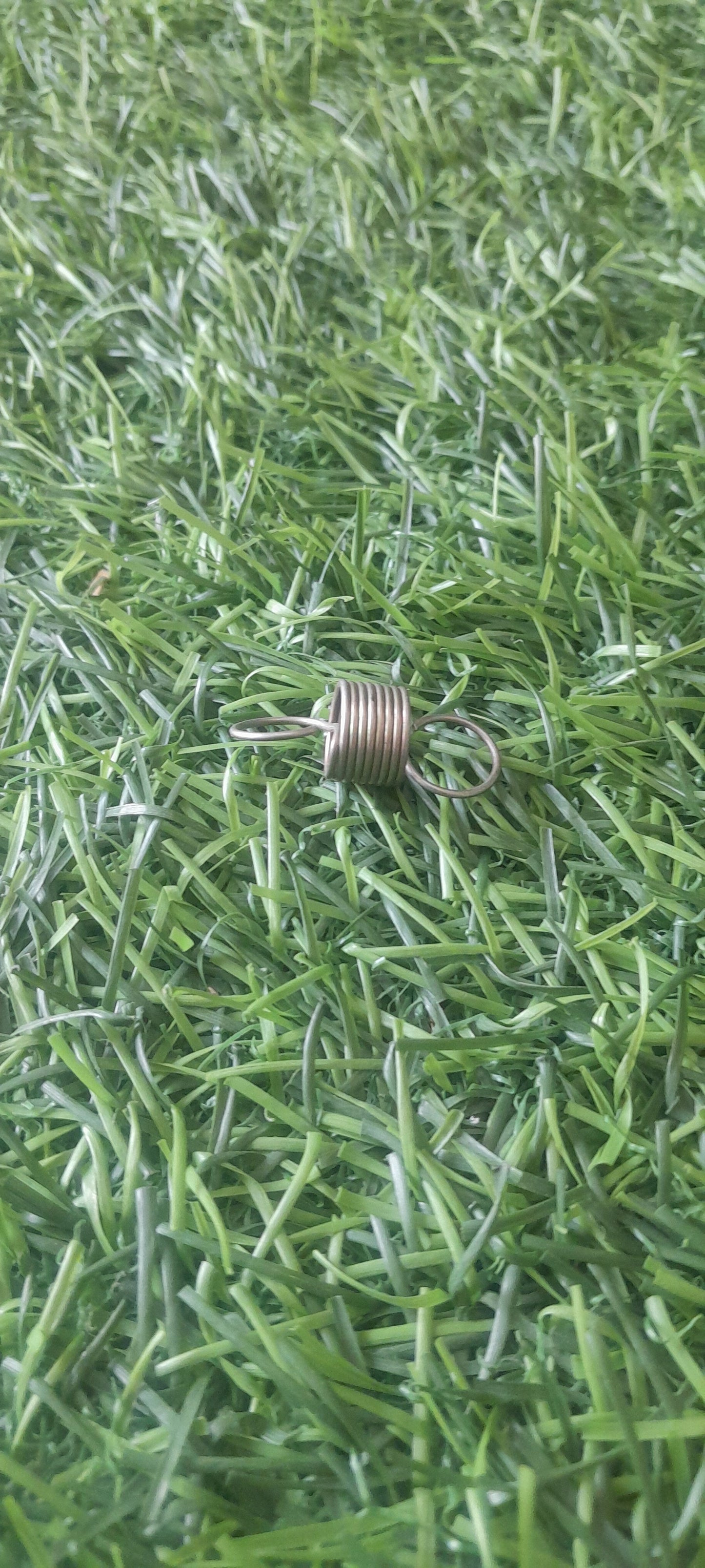 BRAKE PLATE SPRING TYPE 2