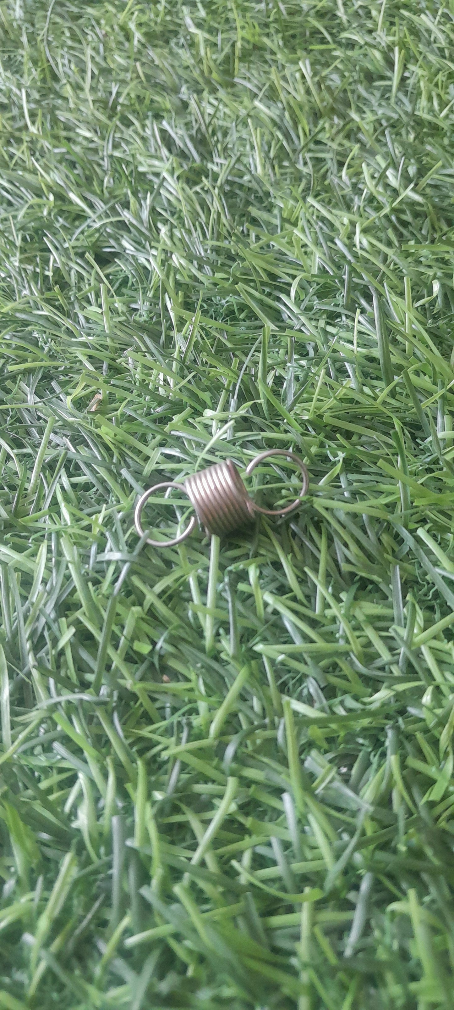 BRAKE PLATE SPRING TYPE 2