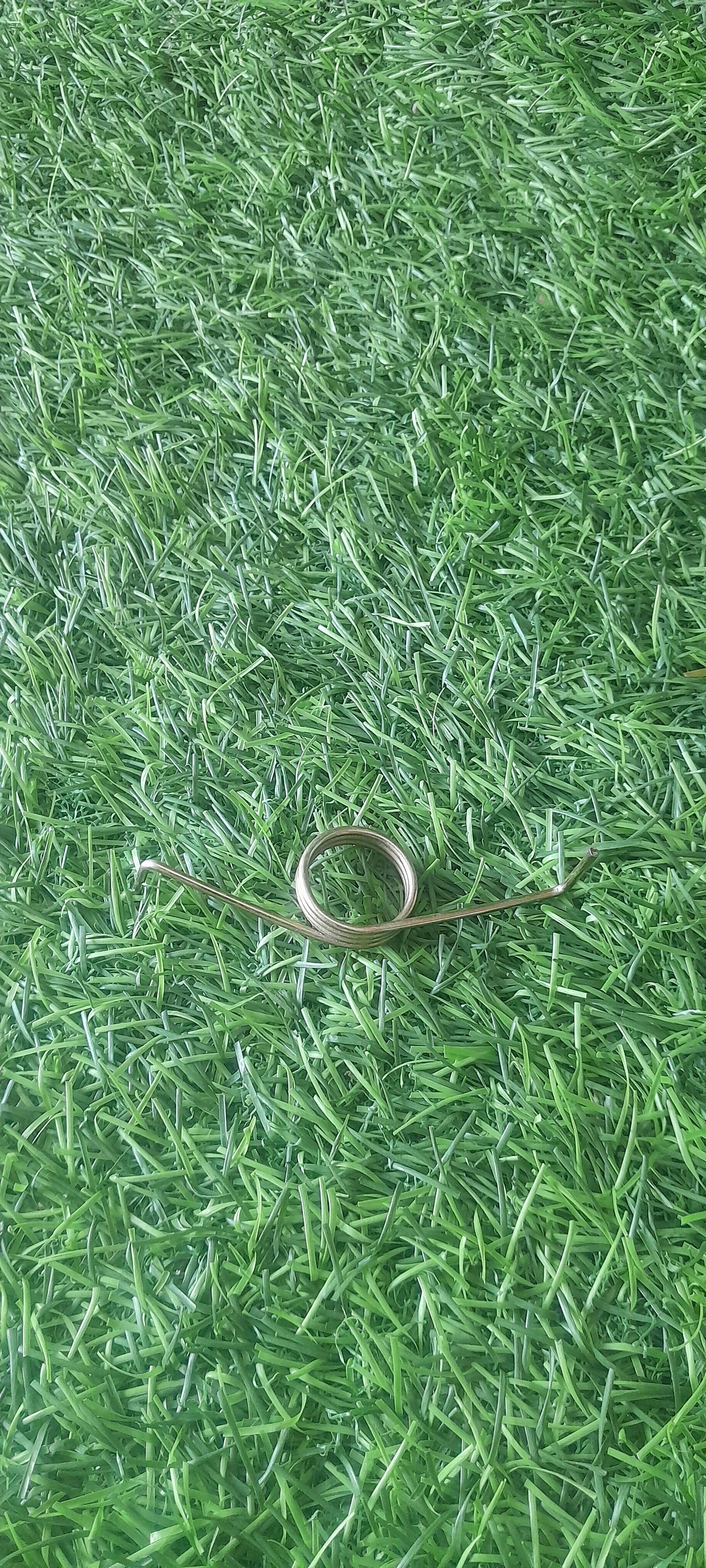 LID SPRING TYPE 1